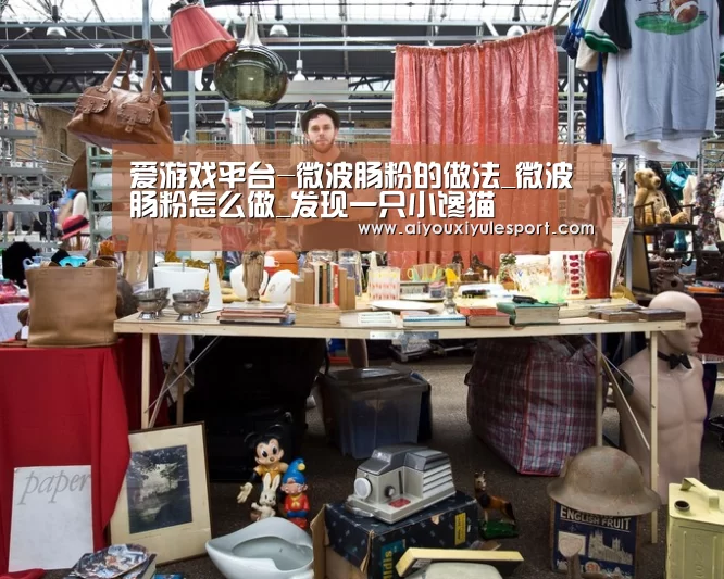 爱游戏体育