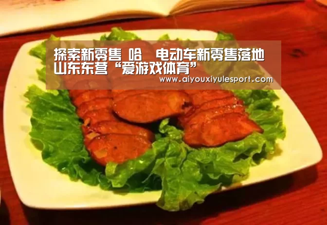 探索新零售 哈啰电动车新零售落地山东东营“爱游戏体育”(图3) 爱游戏平台